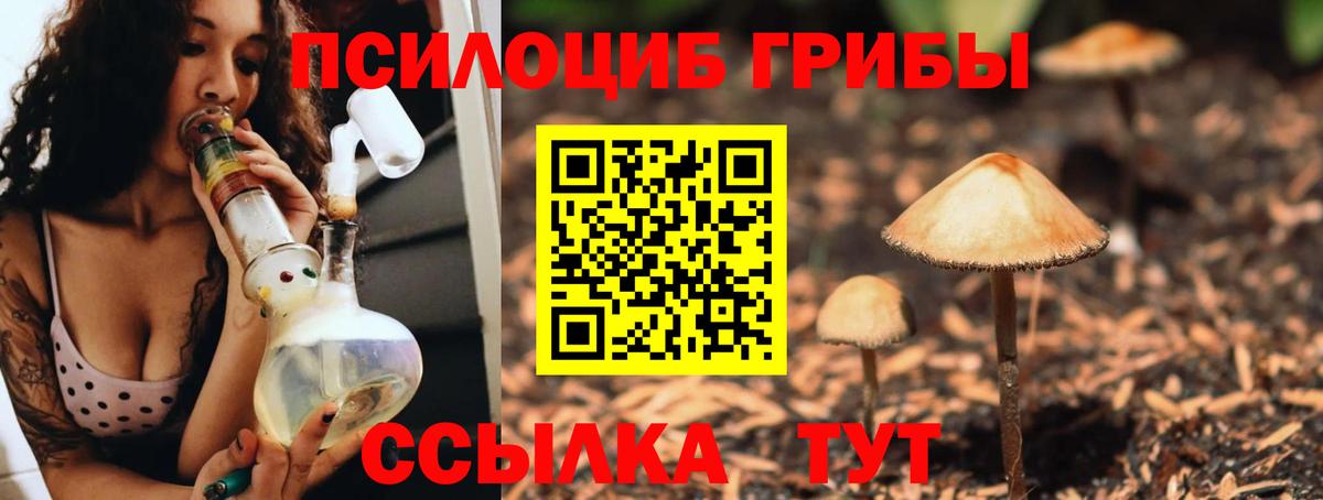 Назарово  Псилоцибиновые грибы мухоморы  Вход с VPN 